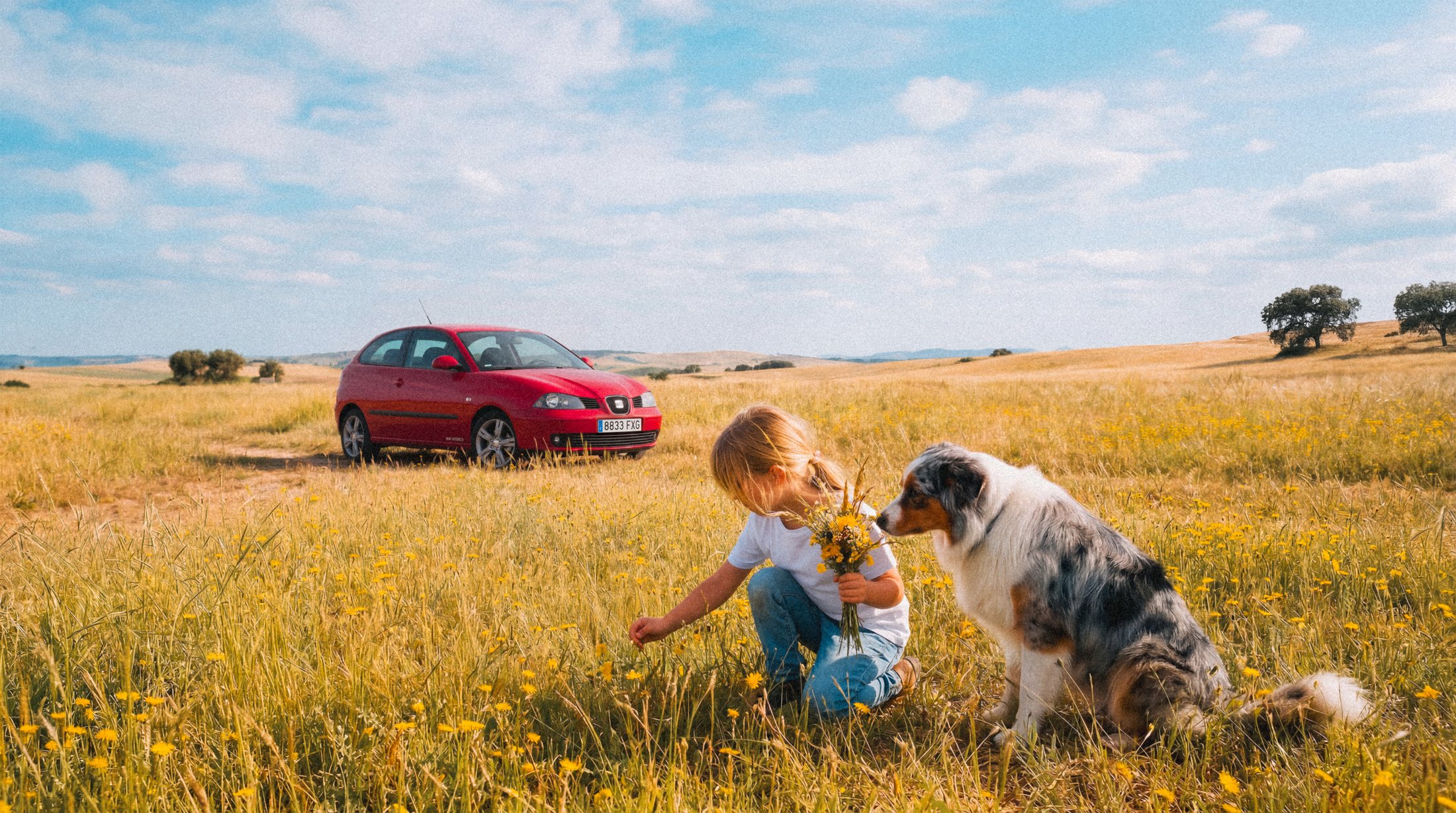 Niña con un ramo de flores y un perro en un campo, con un SEAT Ibiza rojo al fondo